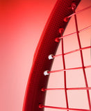 Wilson Defyer 100L